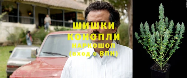 кристаллы Гусев