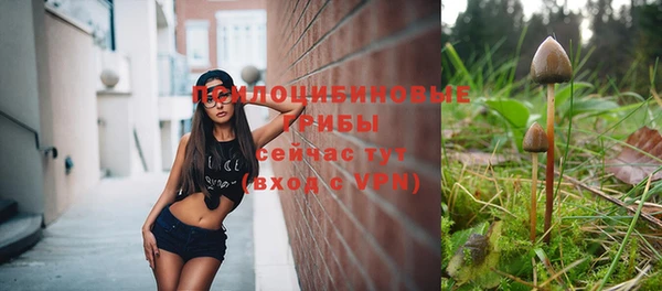 хмурый Горнозаводск