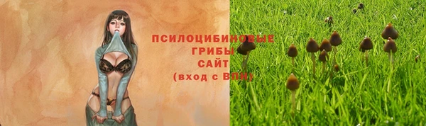 хмурый Горнозаводск