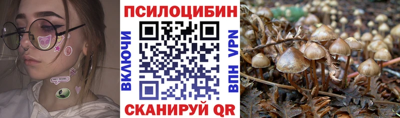 Купить закладки  Заволжье  Галлюциногенные грибы Psilocybine cubensis 
